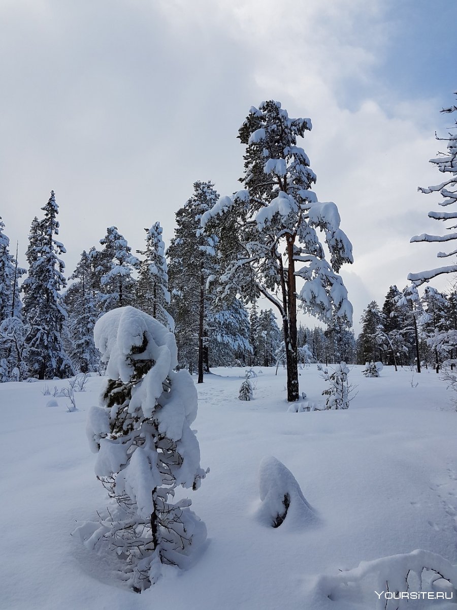 Зимние пейзажи Скандинавии