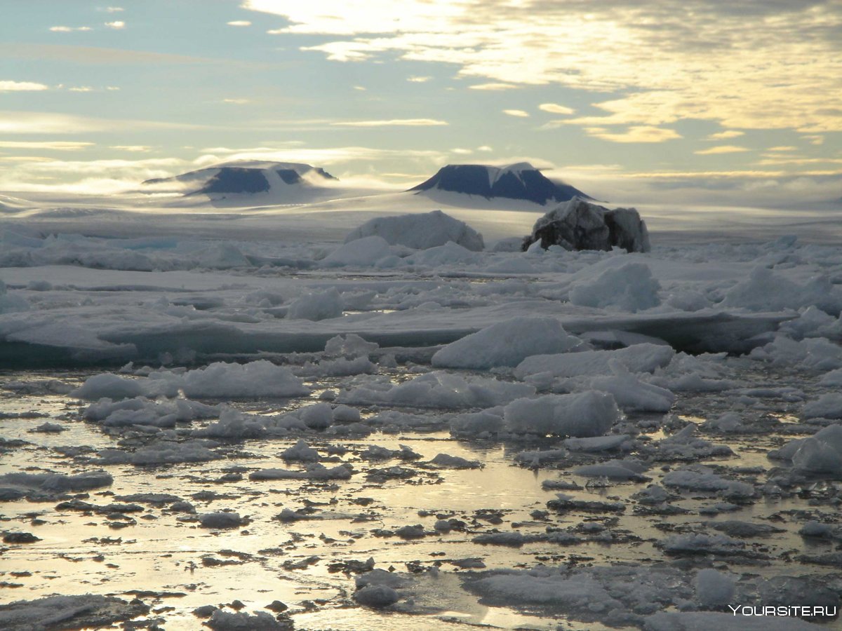 Климат островной Арктики