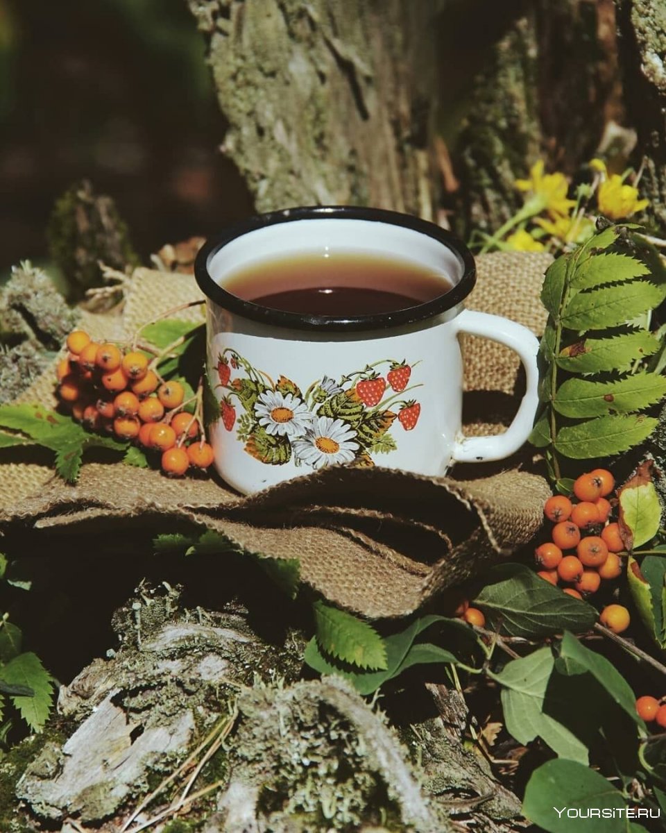 Чашка кофе на природе картинки