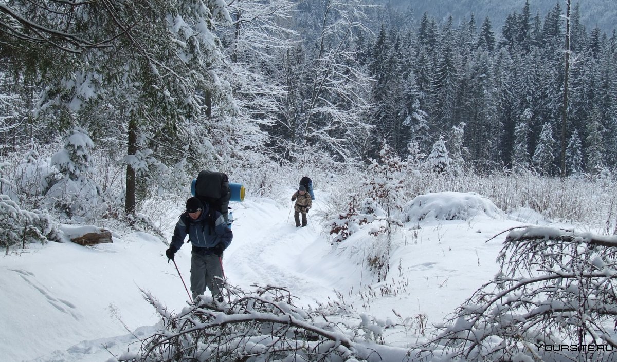 Туристы в зимнем лесу