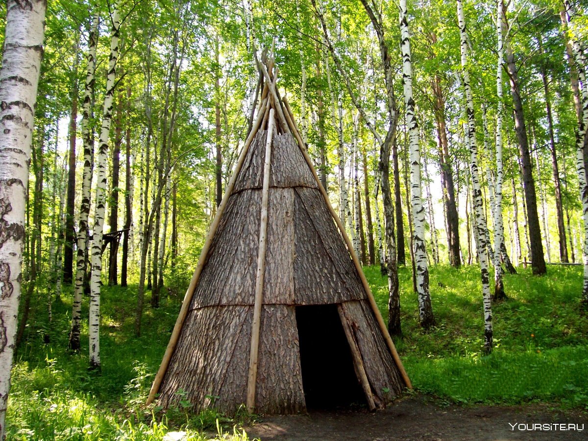 Вигвам жилище лесных индейцев