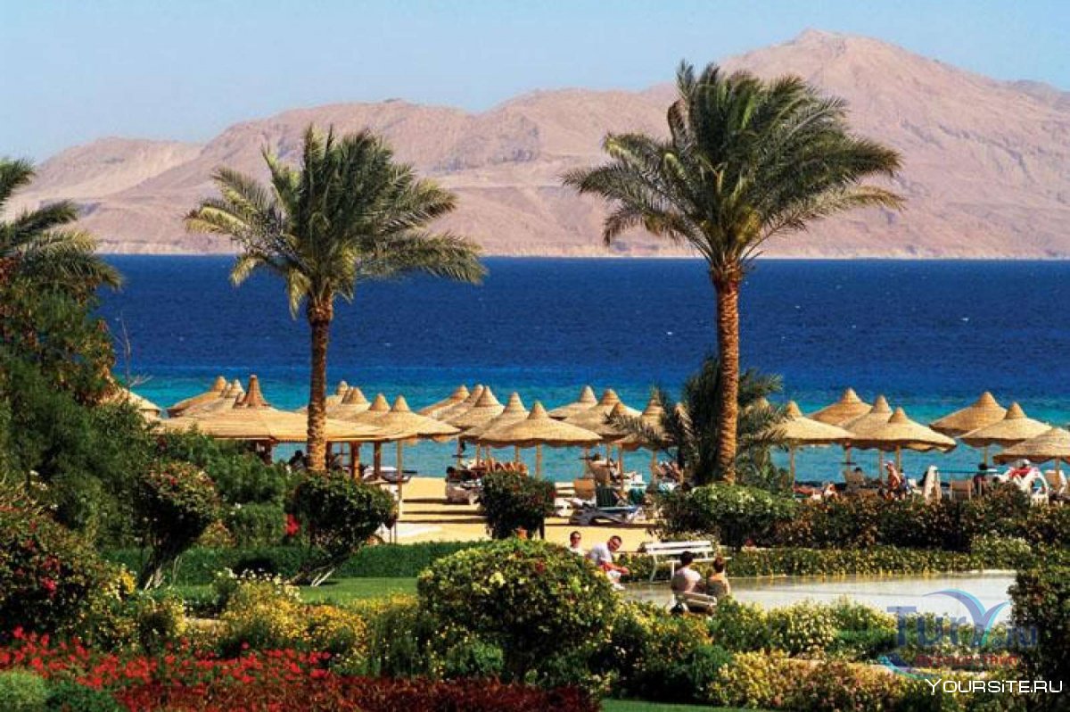 Египет море отель Барон
