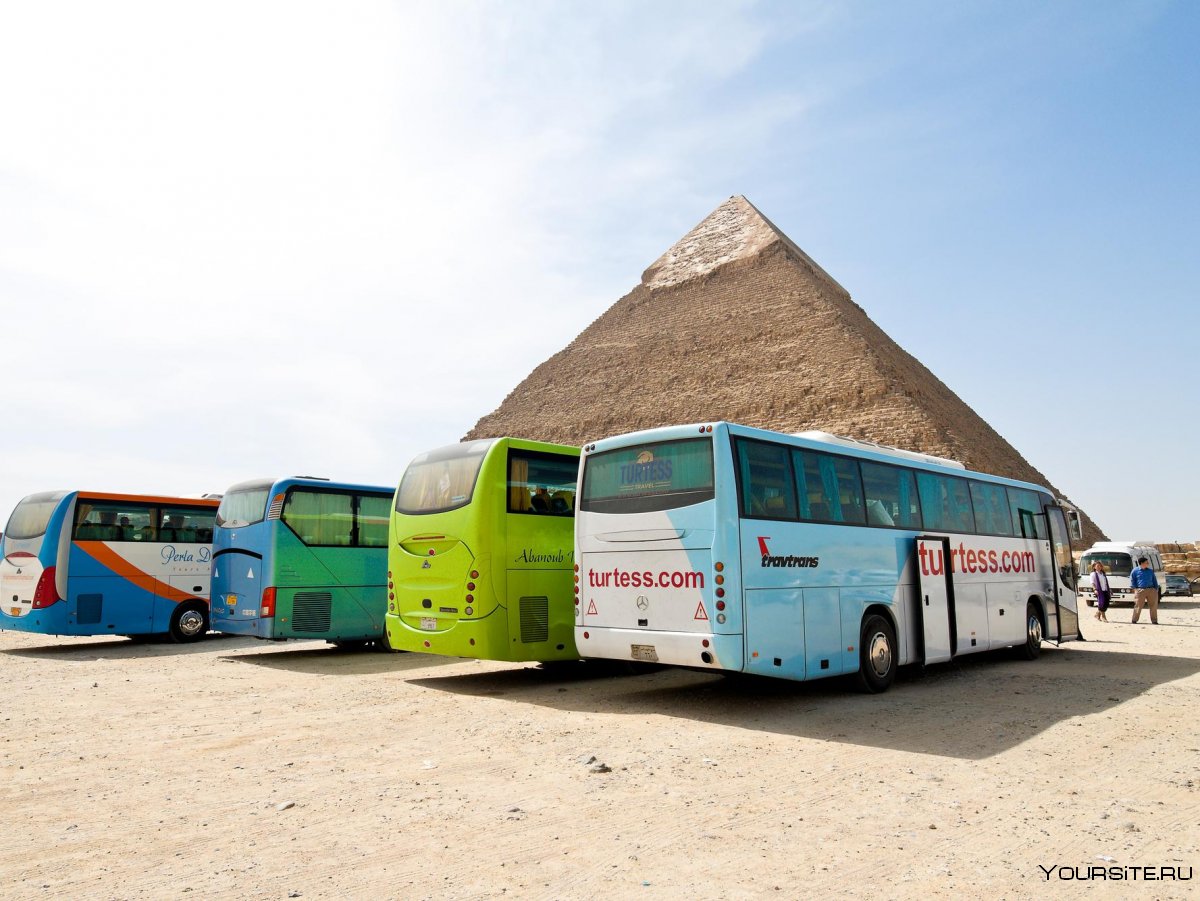 Туристические автобусы в Египте