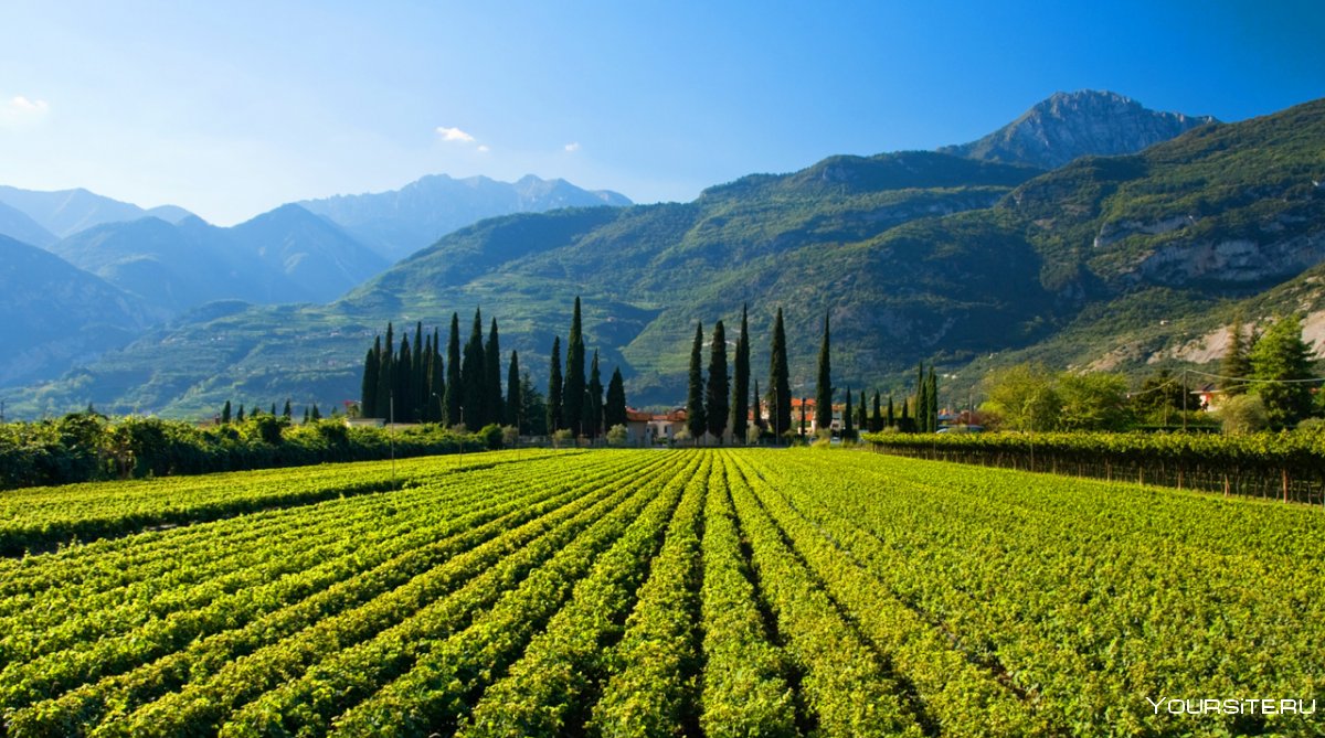 Шато с виноградниками в Италии