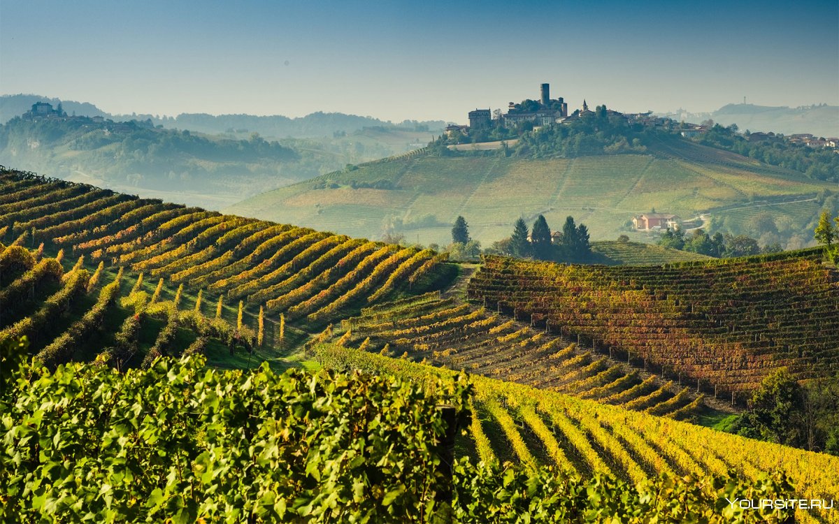 Италия пейзаж виноградники Тоскана