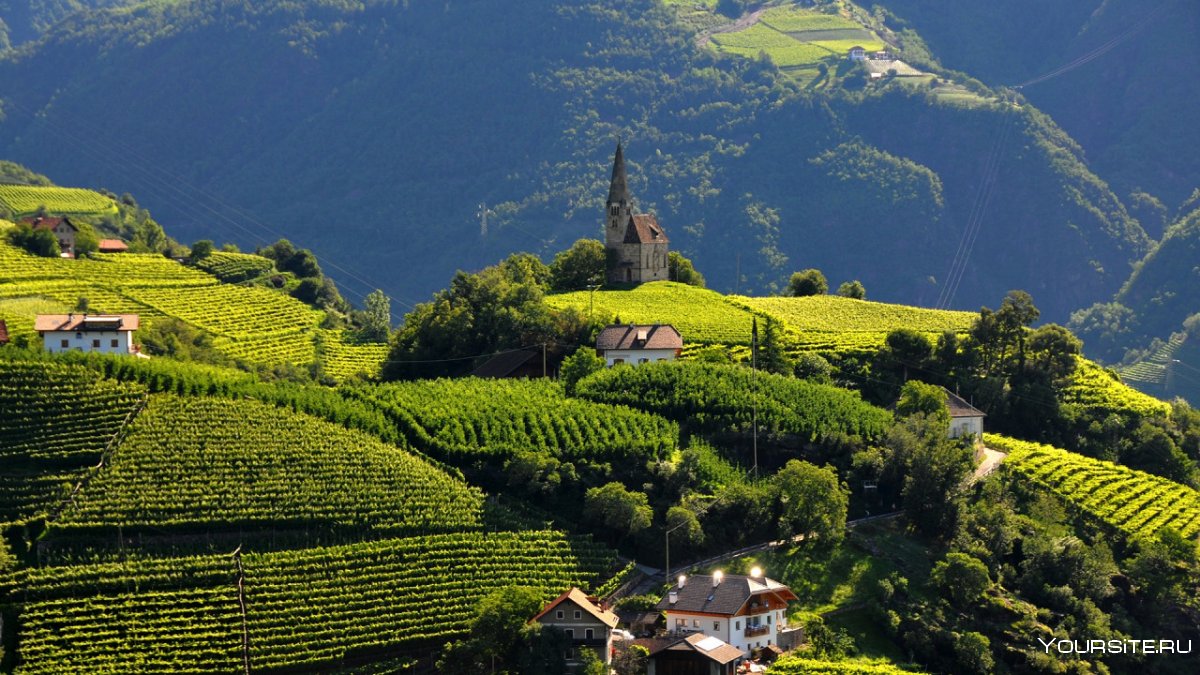 Виноградники осенью Швейцария