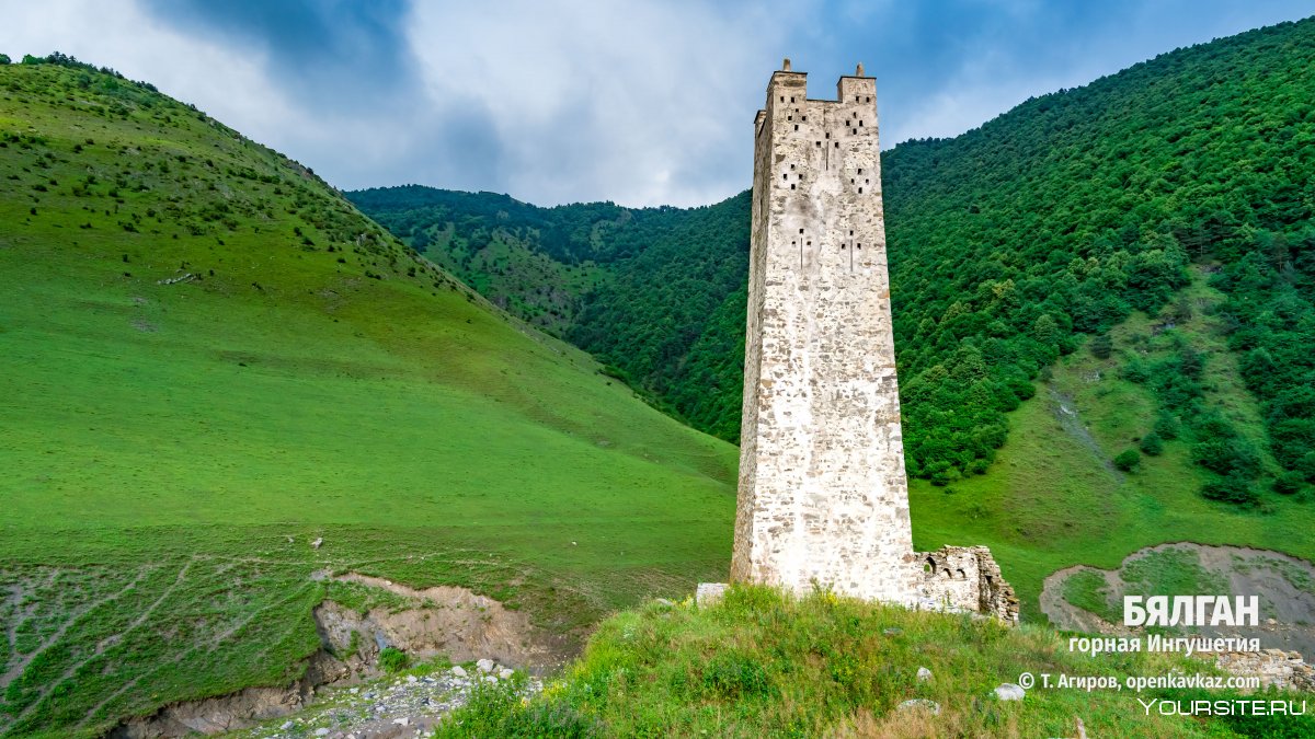 Тимур Агиров башни Ингушетии