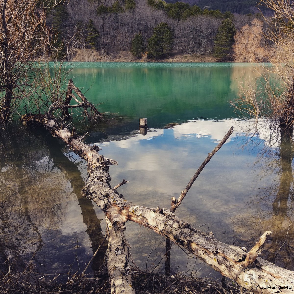 Голубое озеро Запрудное Алушта