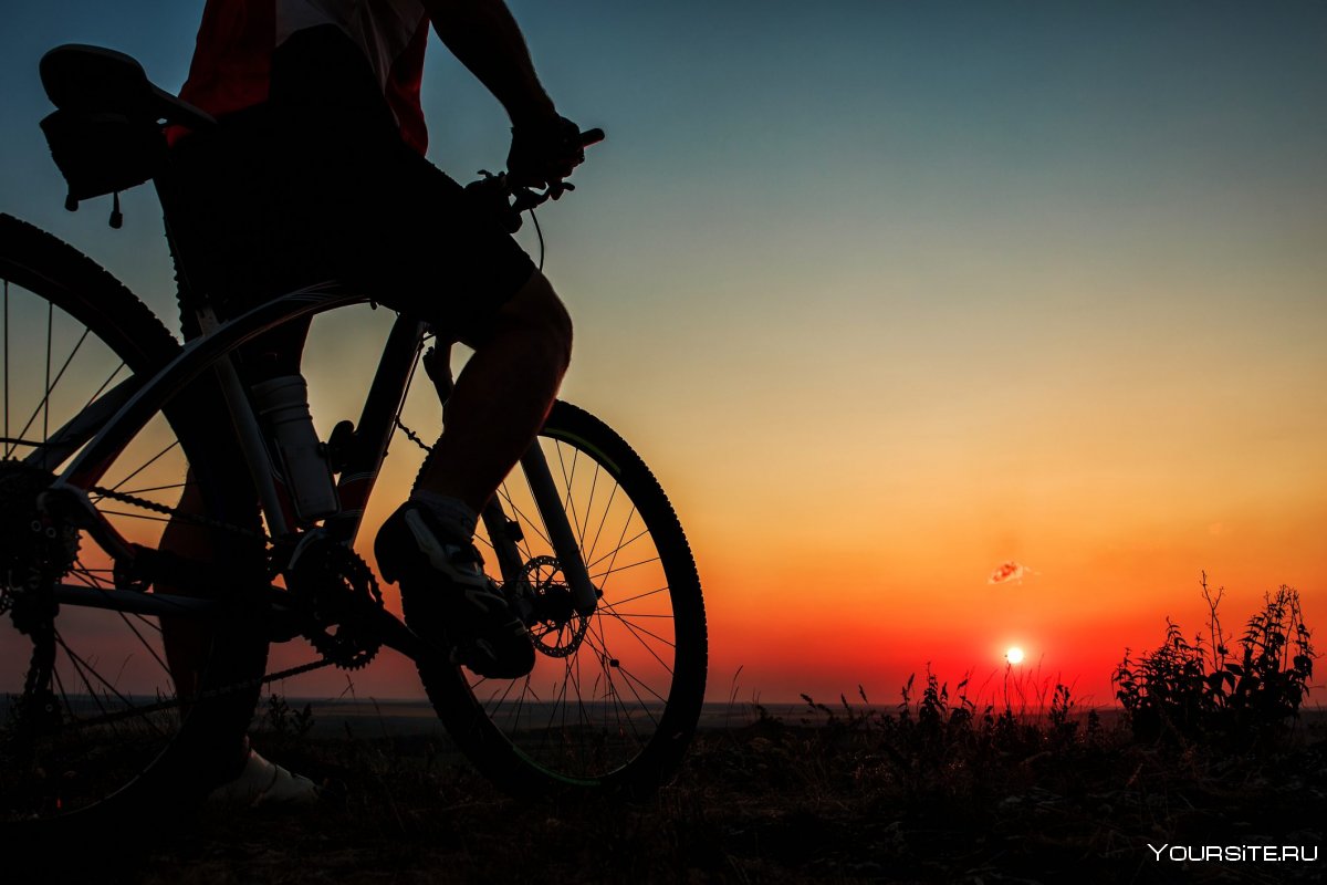 Езда на велосипеде закат