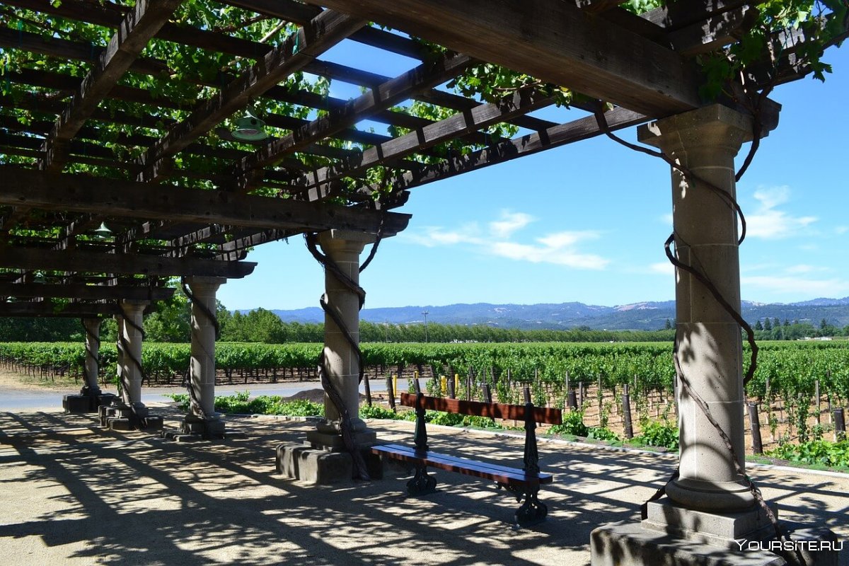 Clospegasewinery Калистога, Калифорния, США виноделие