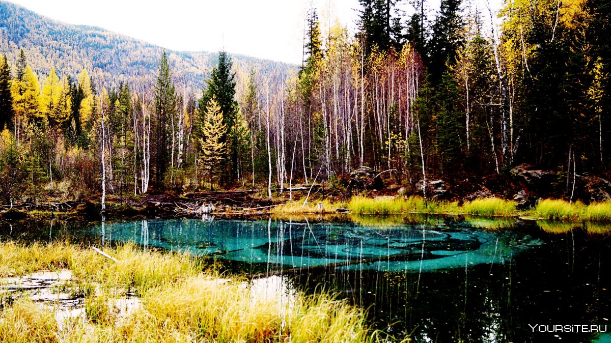 Гейзеровое озеро Алтай осенью