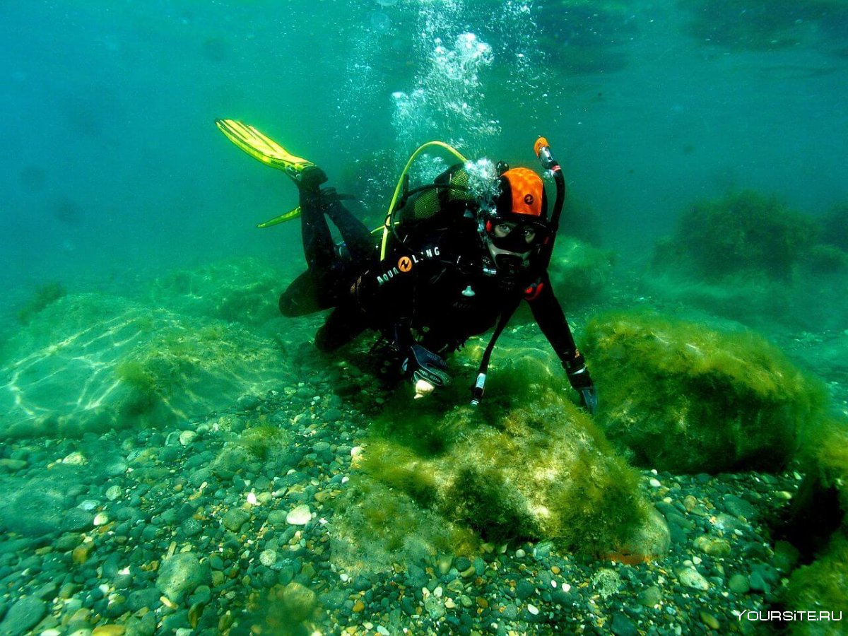 Дайвинг – центр «Black Sea Diving College» Сочи