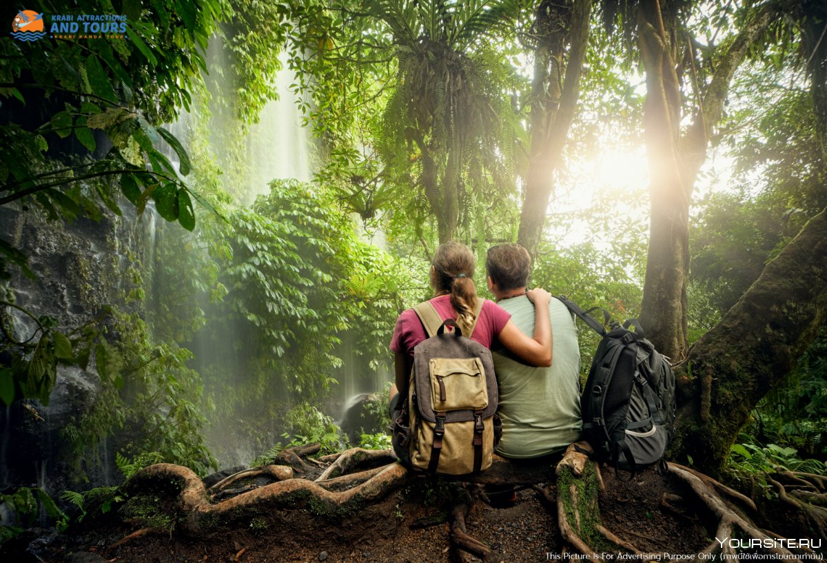 Люди путешествуют в джунглях