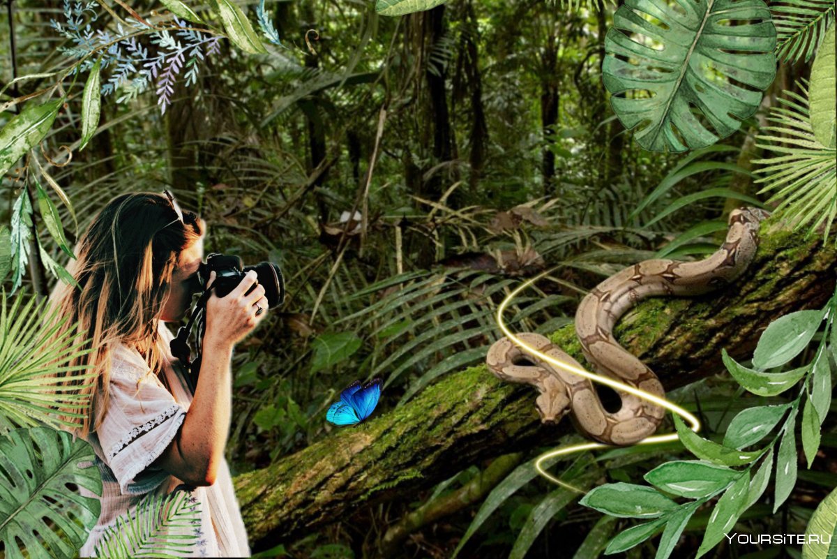 Змеи в джунглях