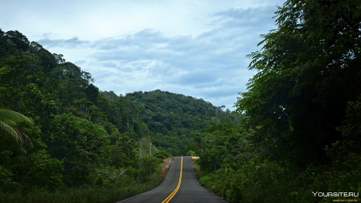 Дорога в джунглях в горах