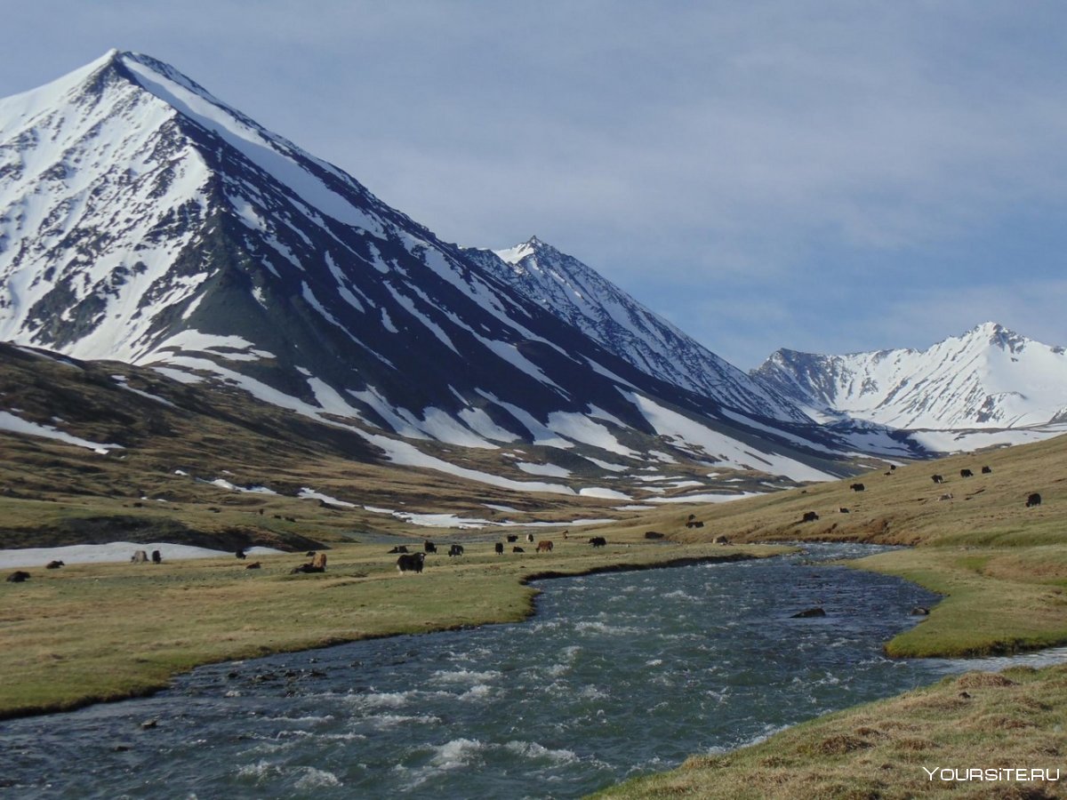Южно-Чуйский хребет горный Алтай
