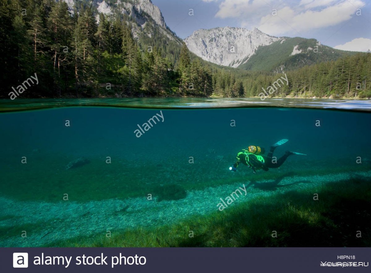 Grüner see зелёное озеро