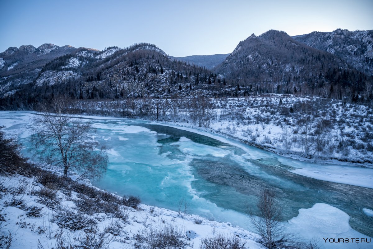 Чемал горный Алтай зимой