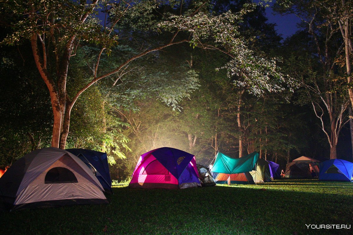 Лесной палаточный лагерь