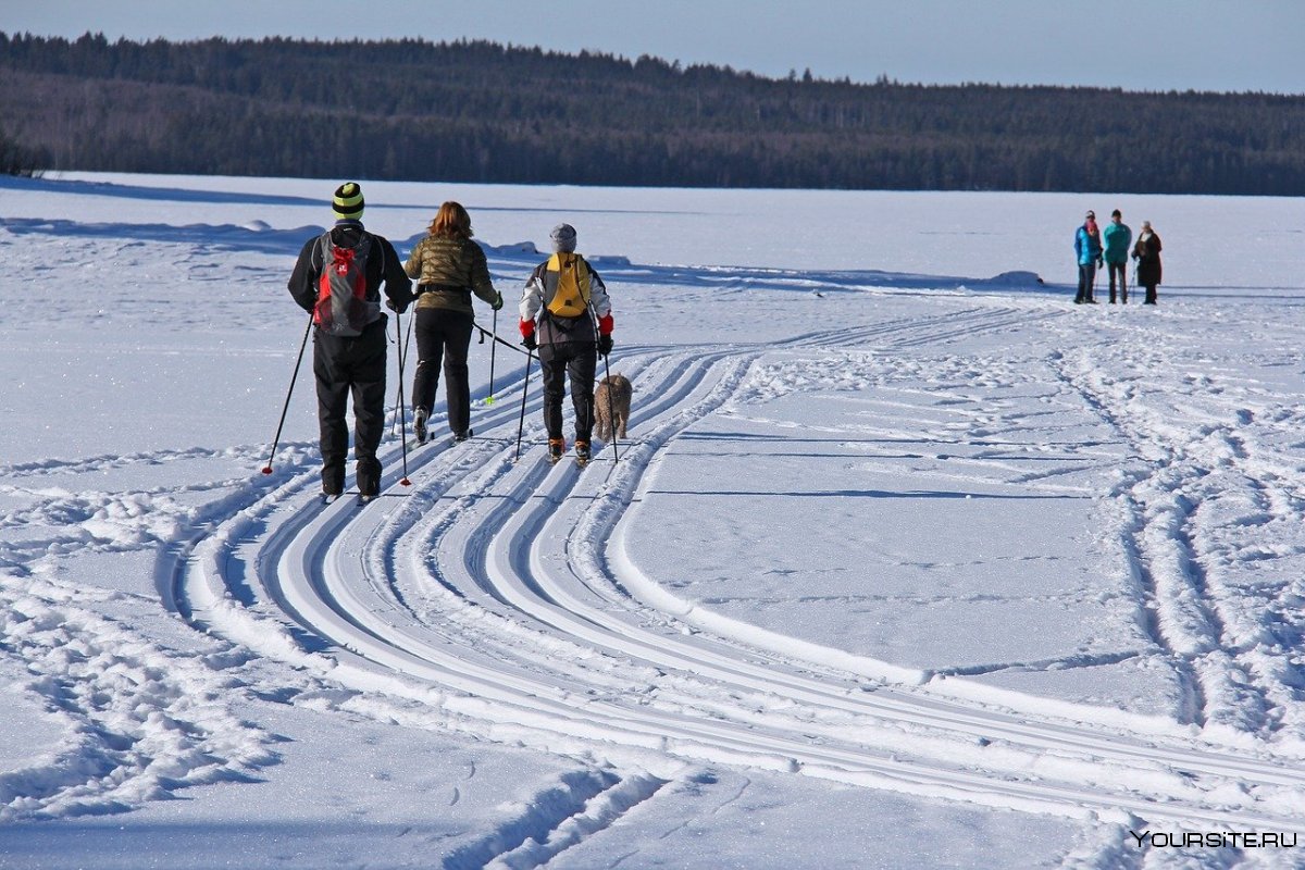 Лыжи для льда
