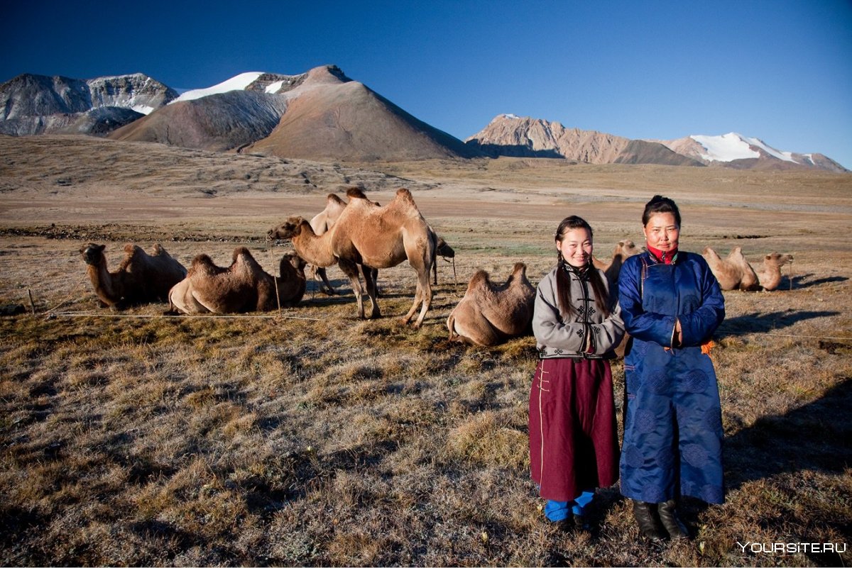 Badrah Монголия