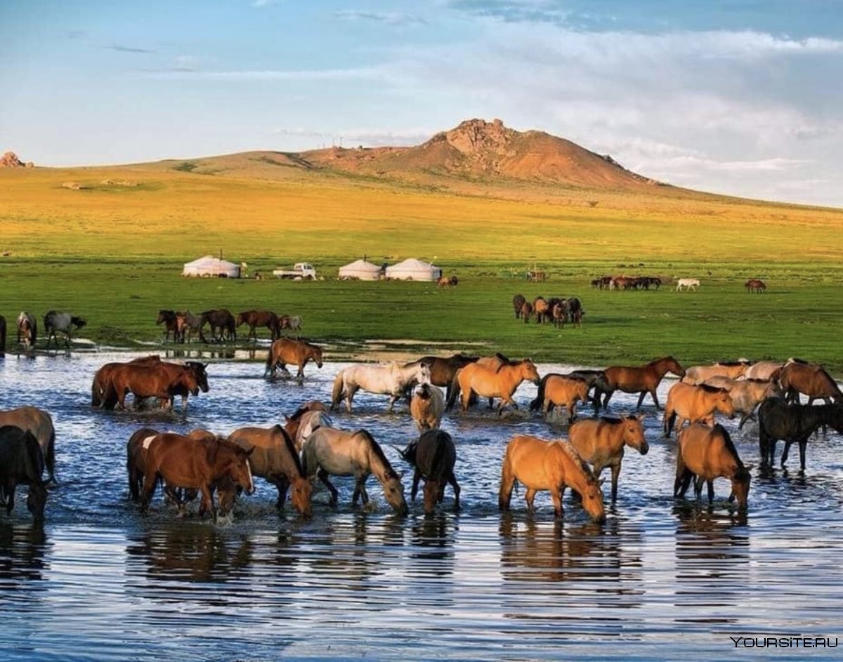Монголия столица природа