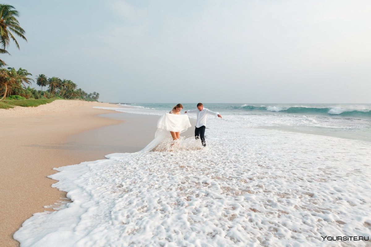 Шри Ланка медовый месяц