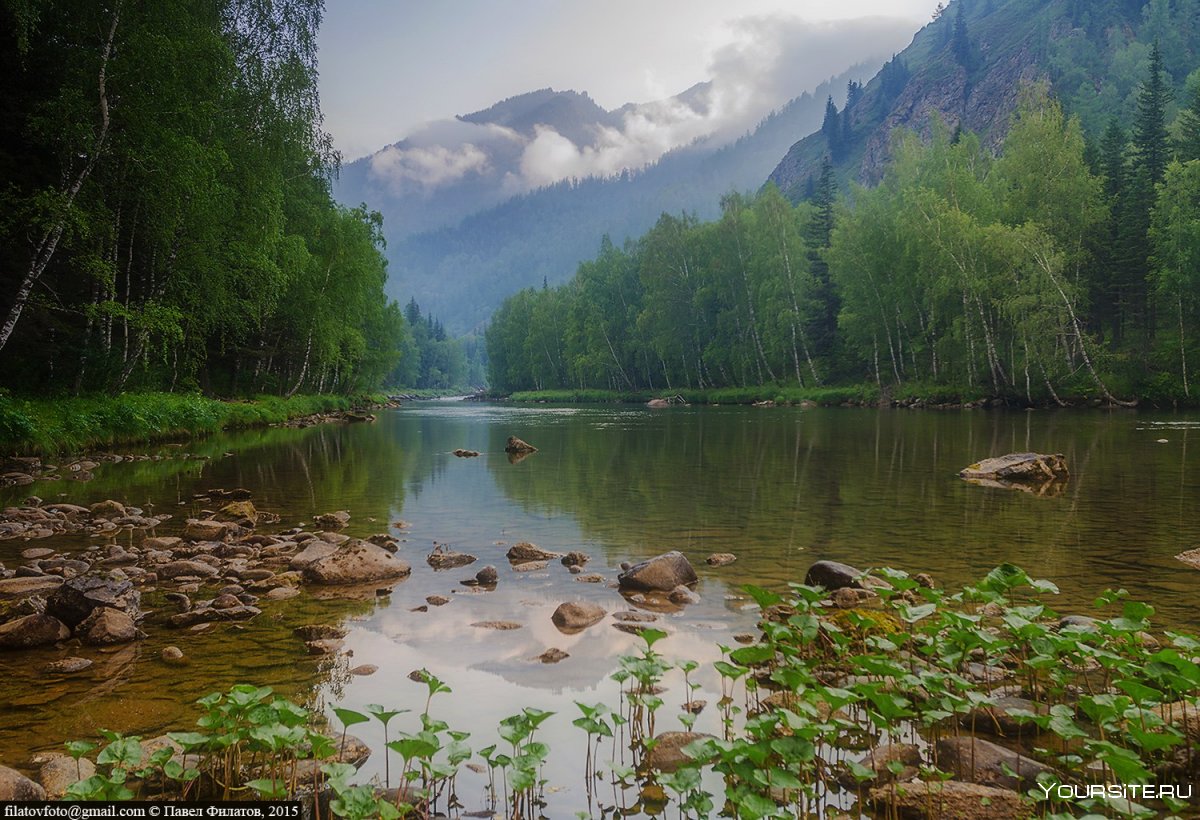 Река черга горный Алтай