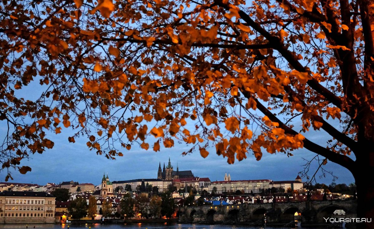 Картина осень в Праге