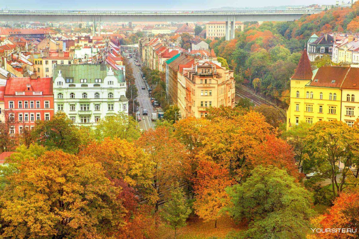 Фотообои осень в Праге