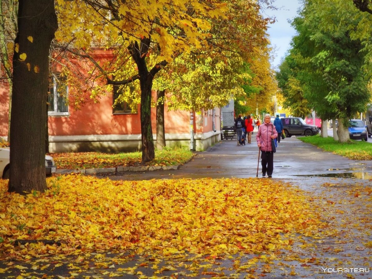 Александровский парк Пушкин Санкт Петербург осень
