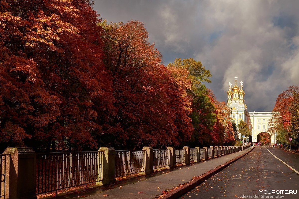 Пушкин город Санкт-Петербург осенью