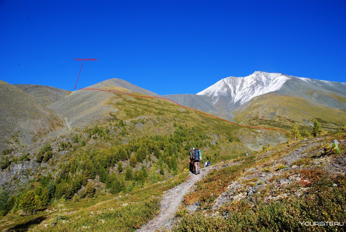 Гора Белуха горный Алтай высота