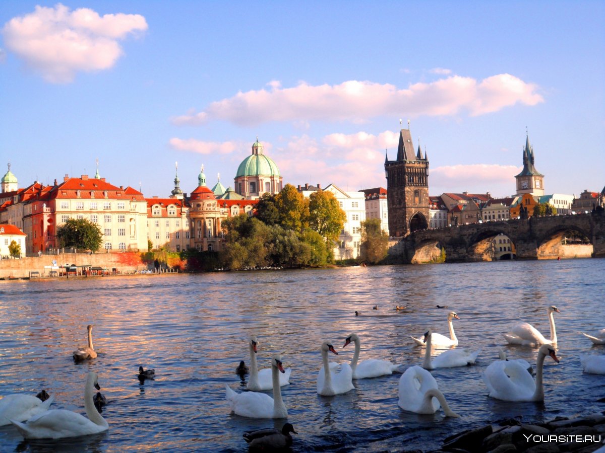 Чехия Прага природа