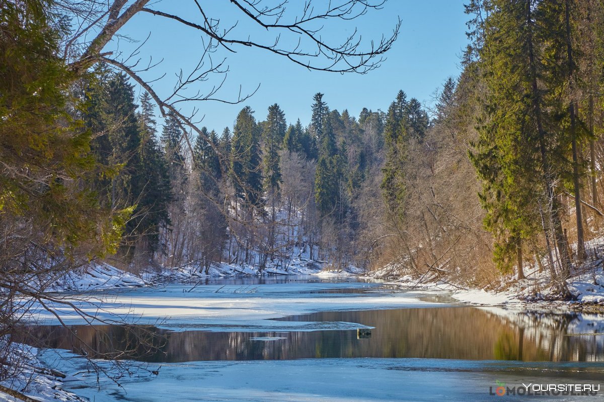 Лопухинка Радоновое озеро зимой