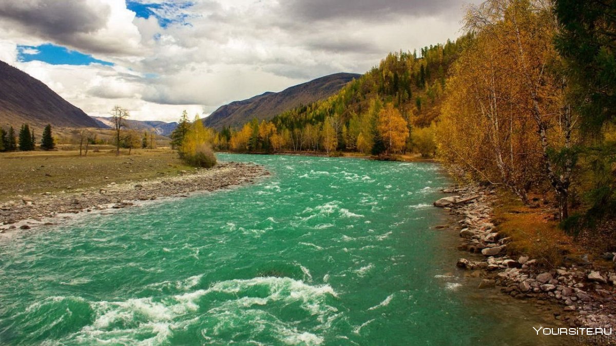 Алтайский край река Катунь осенью