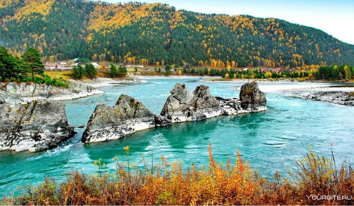 Бирюзовая Катунь горный Алтай осень