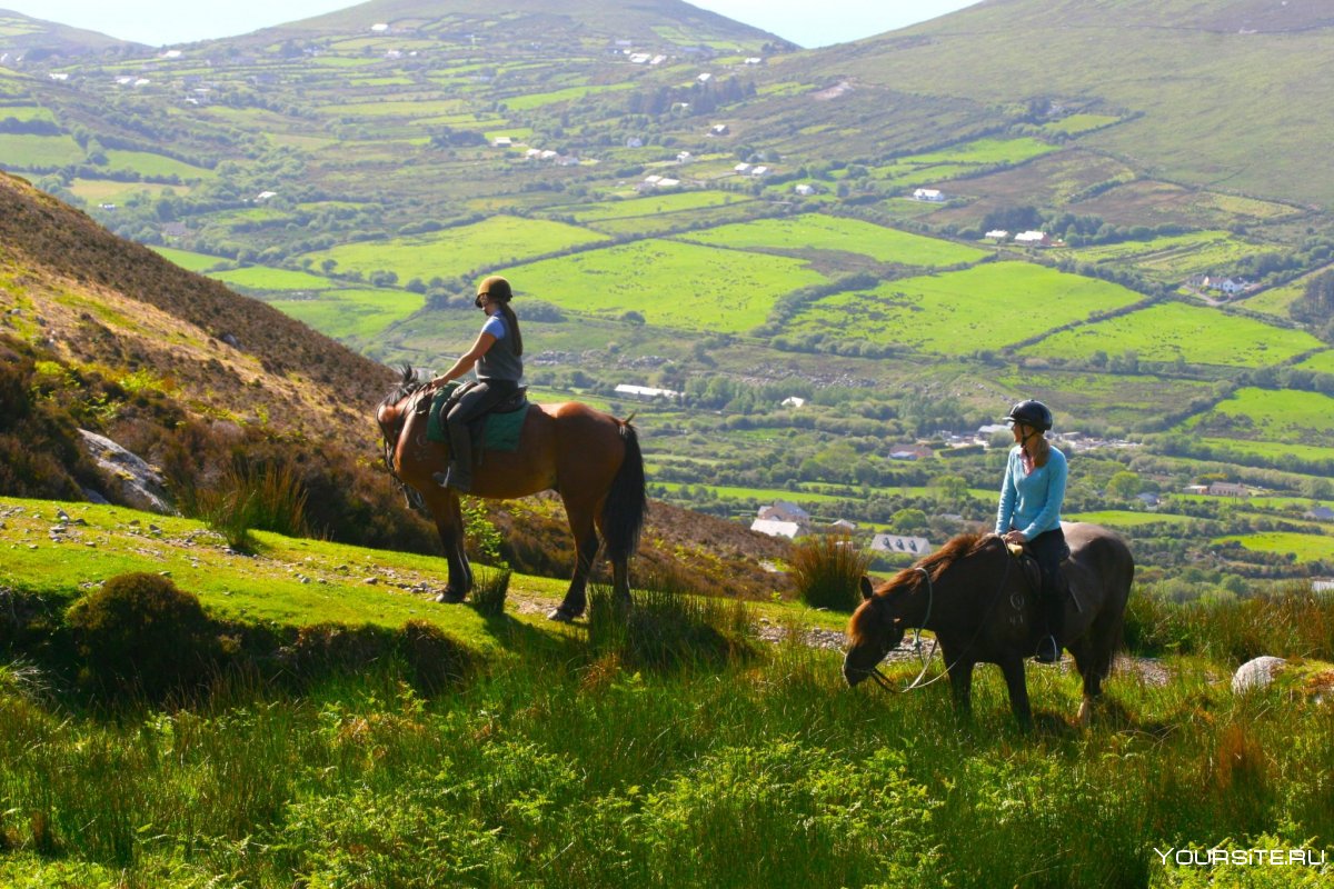 Верховая езда в Ирландии