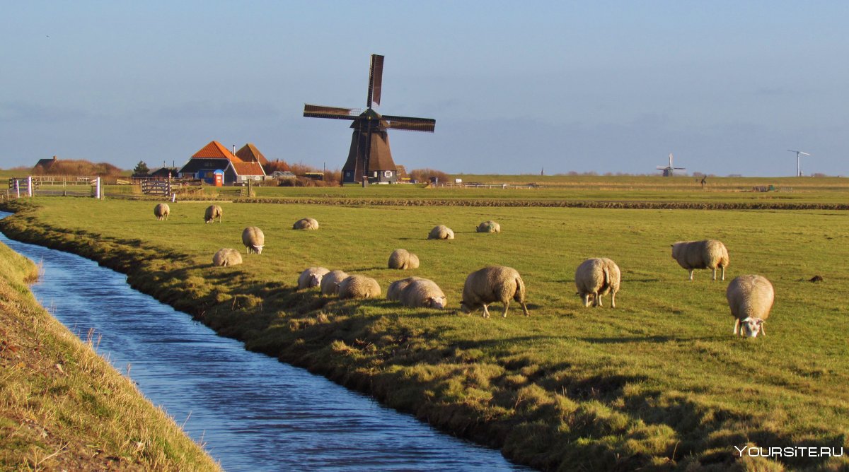Сельскохозяйство в Голландии