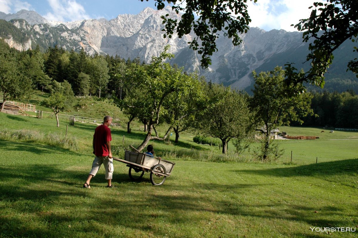 Словения сельское хозяйство