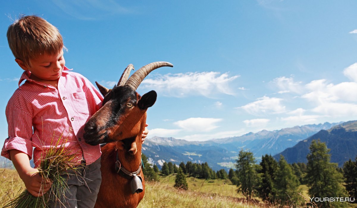 Сельский туризм семья