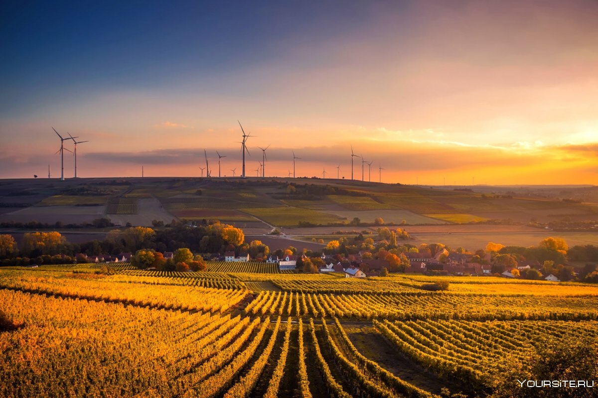 Сельское хозяйство Германии поля