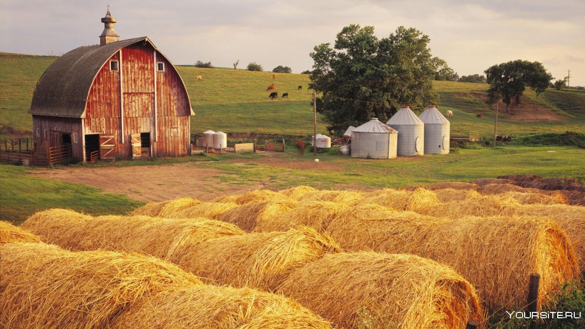 Сельское хозяйство Северной Америки
