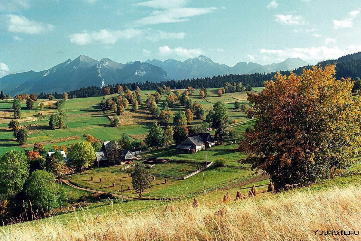 Климат Польши