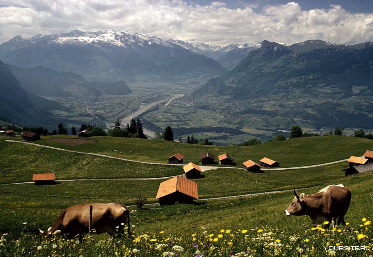 Лихтенштейн сельское хозяйство