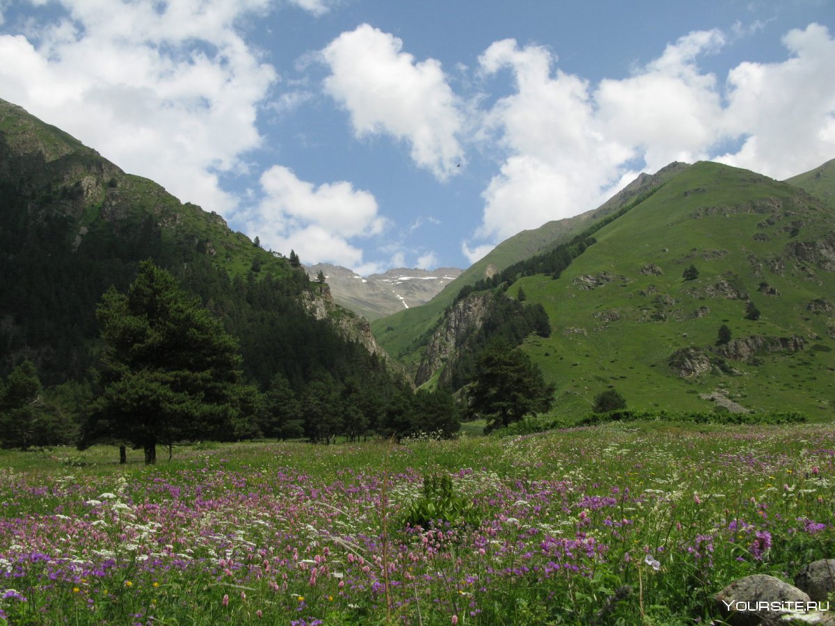Горы Кабардино Балкарии Альпийские Луга