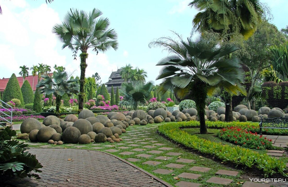 Ботанический сад Нонг Нуч сад пальм