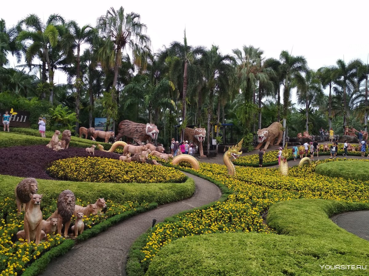 Ботанический сад Нонг Нуч холм бабочек