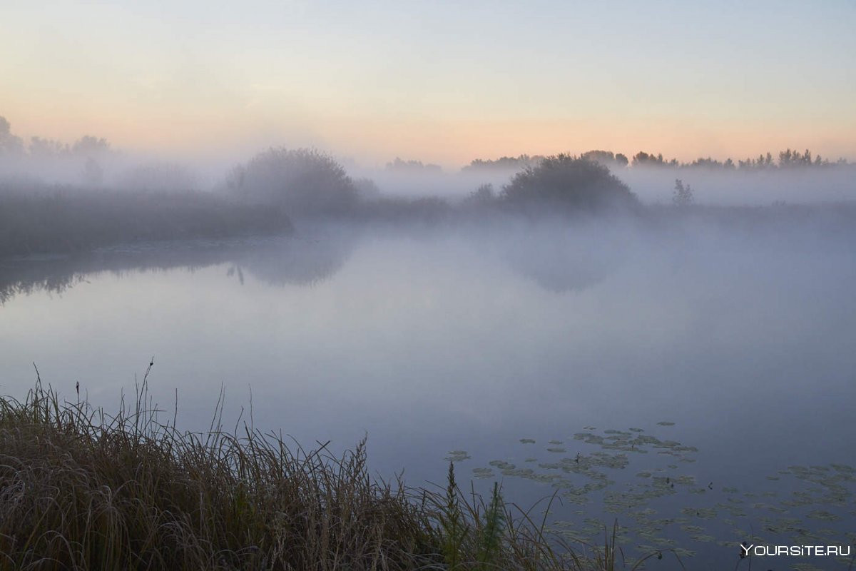 Озеро в Украине рассвет туман Сумы