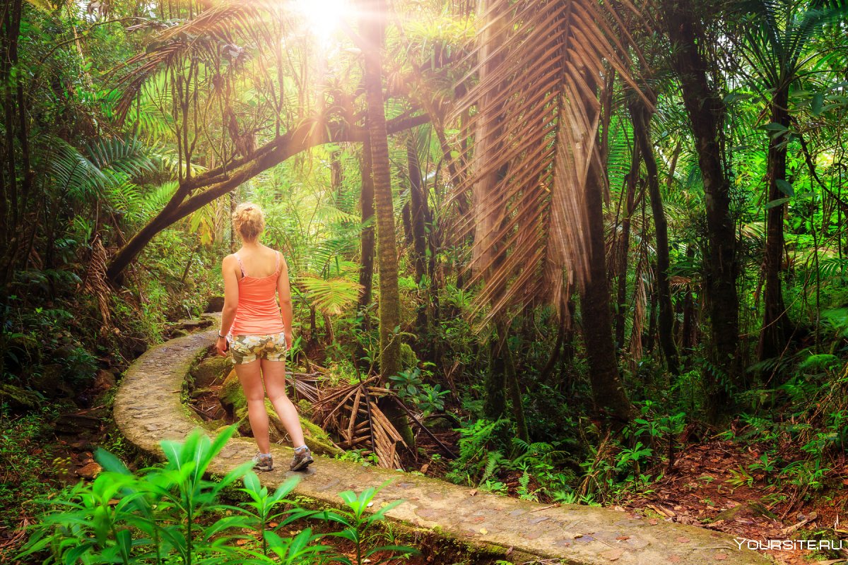 Женщина в джунглях туризм